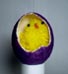 One little chickie in a purple tissue papered egg