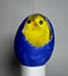 One little chickie in a blue tissue papered egg